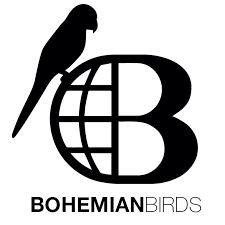 Reisspecialist, Bohemian Bird