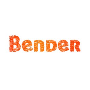Bender Traineeship Sociaal Domein
