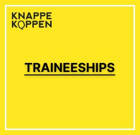 Traineeship Consultancy (32-40 uur p/w) KnappeKoppen PMT Groep